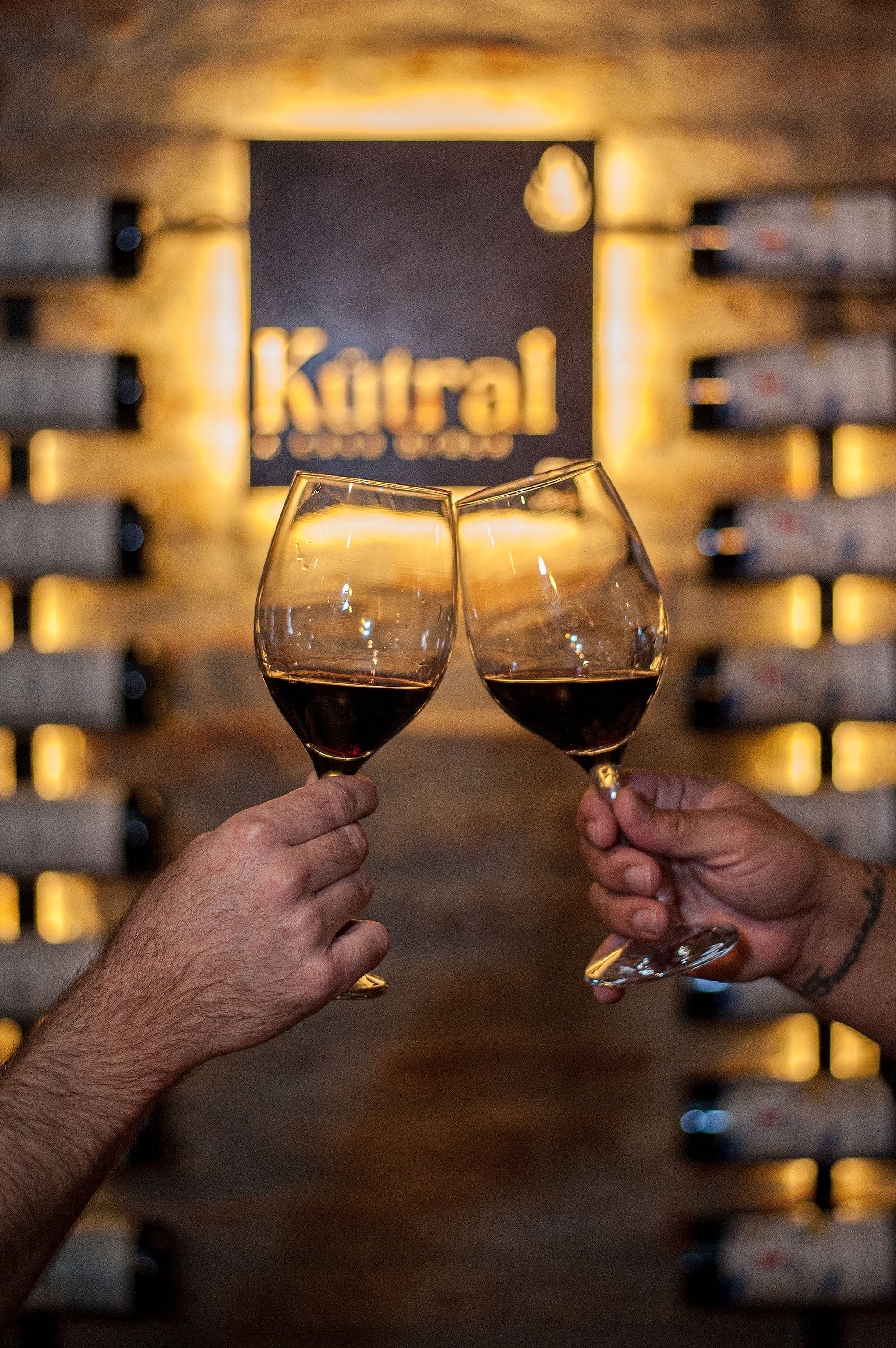 Brindis con vinos argentinos frente a la bodega Kütral